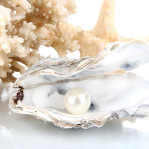 Oyster & Pearl